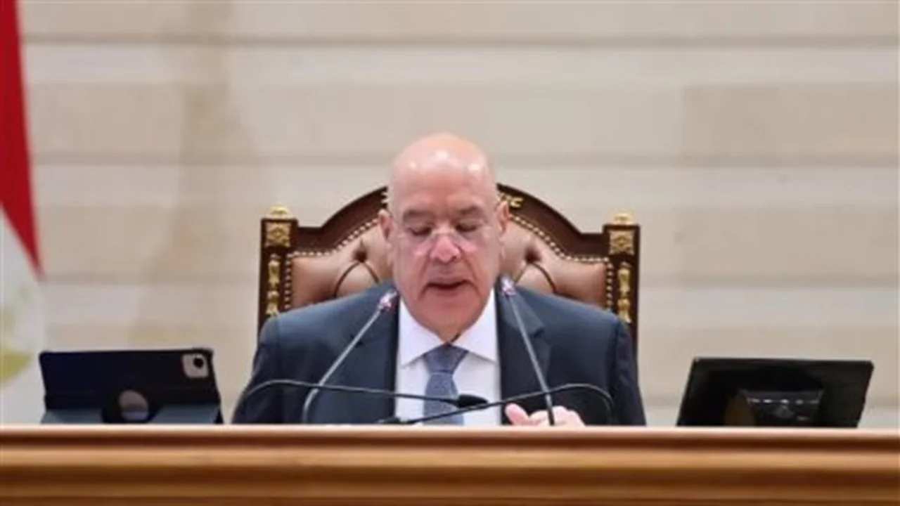 اجتماع عاجل.. مجلس النواب المصري يناقش دعم الاستقرار في ليبيا